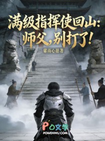 满级指挥使回山:师父,别打了